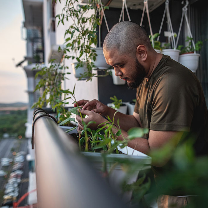 Home gardening at balcony